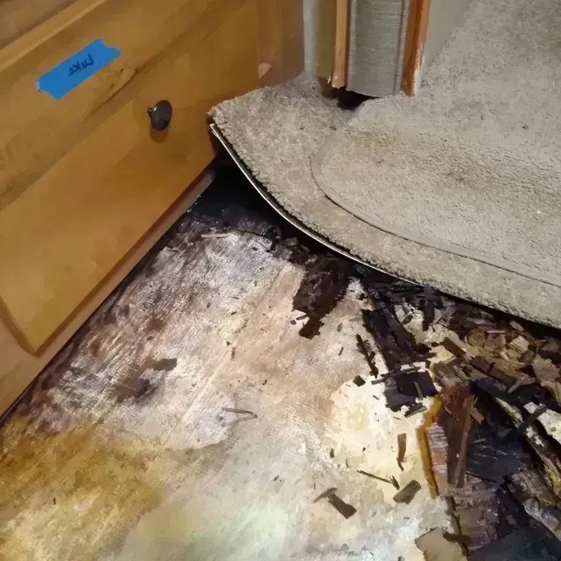 Wood Floor Water Damage in Parachute, CO